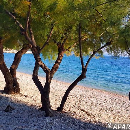 Apartments Ferdo Živogošće Dış mekan fotoğraf